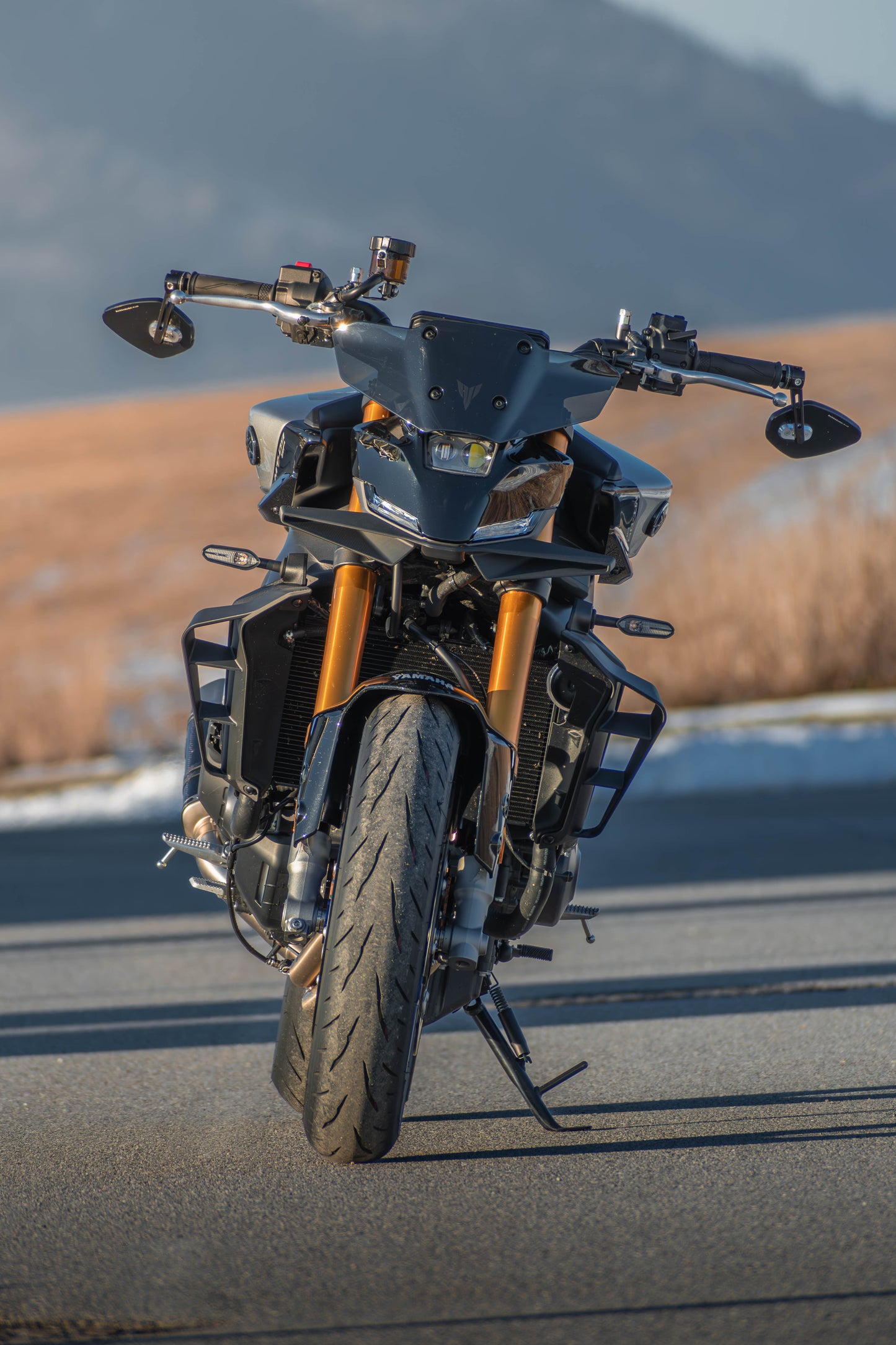 Ali laterali - Yamaha MT09 2024