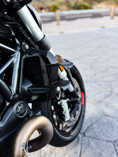 Ali Doppio - Ducati Monster 821 / 1200