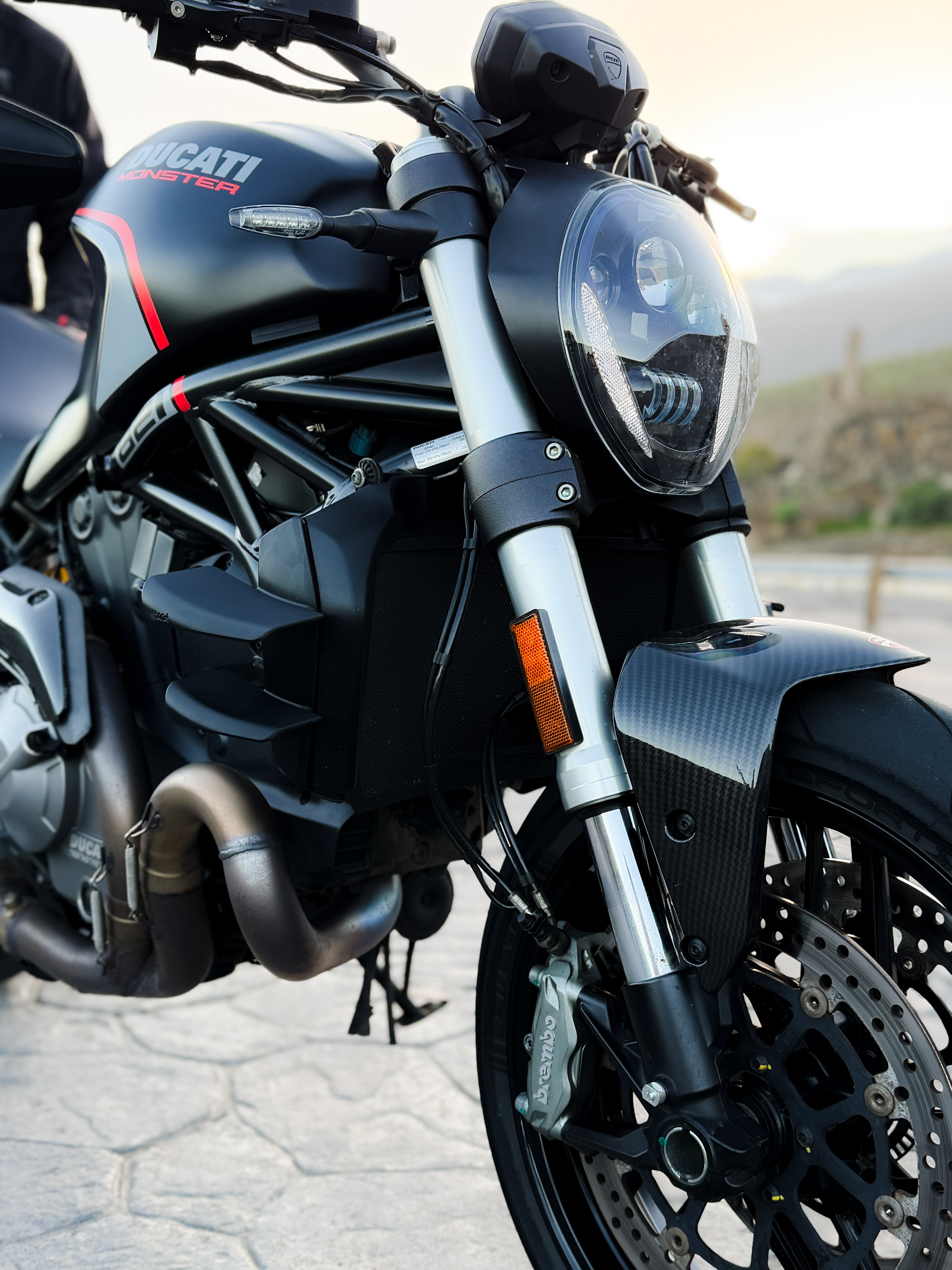 Ali Doppio - Ducati Monster 821 / 1200