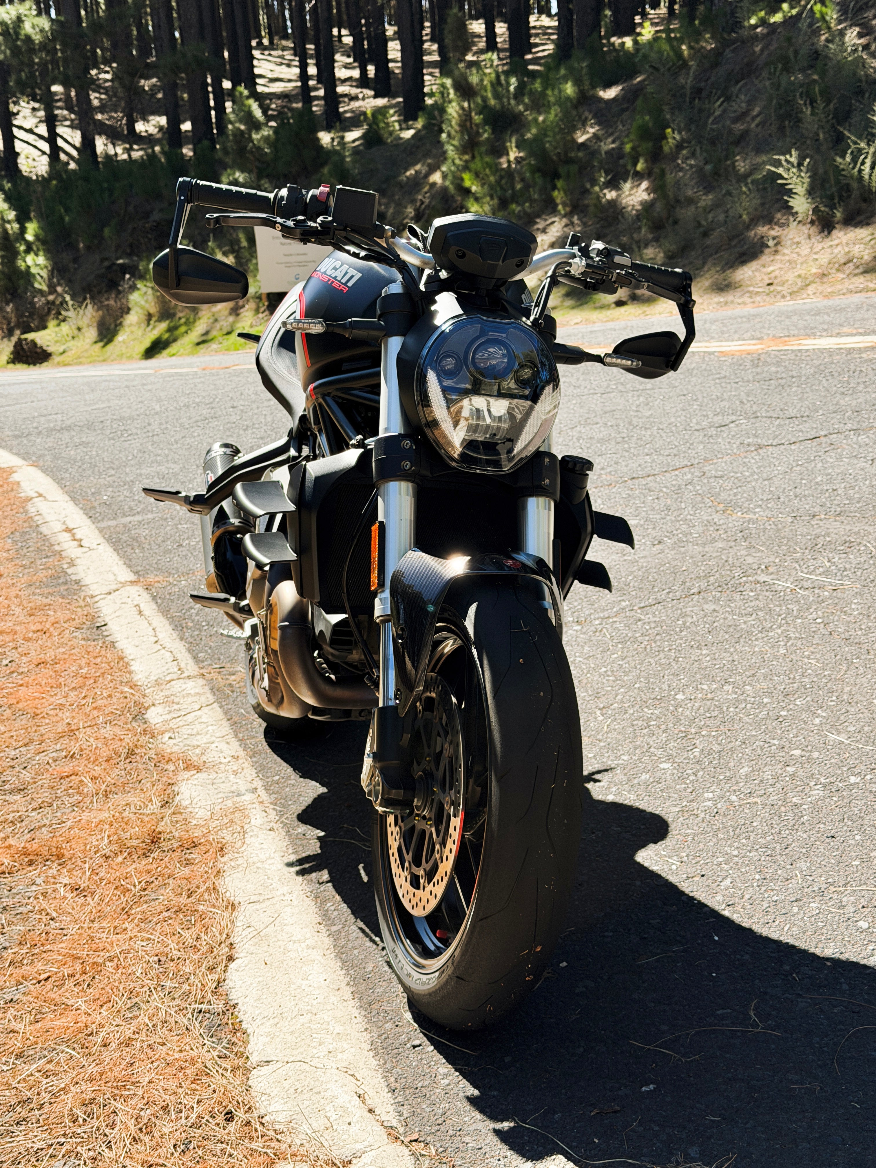 Ali Doppio - Ducati Monster 821 / 1200