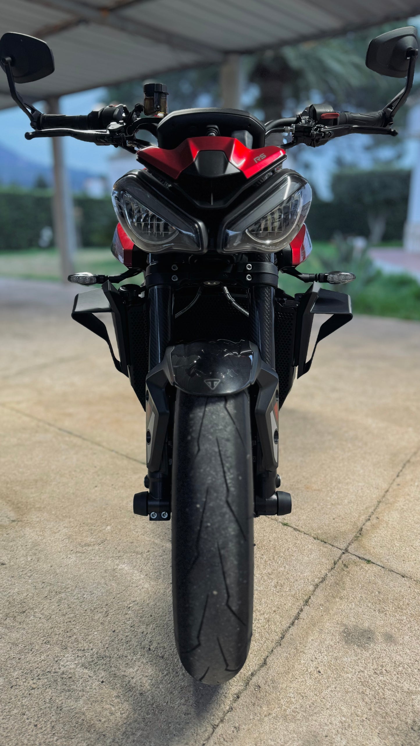 Ali laterali - Triumph Street Triple 765